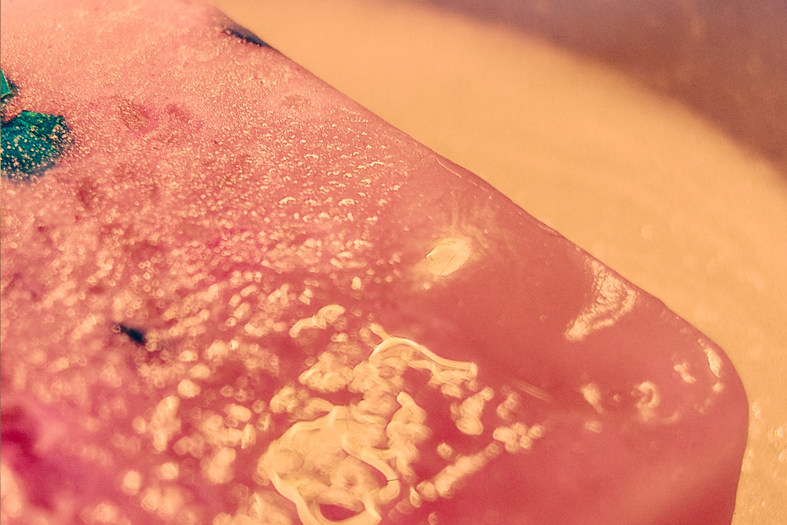 Close up of melted wax melt in a burner dish releasing fragrance