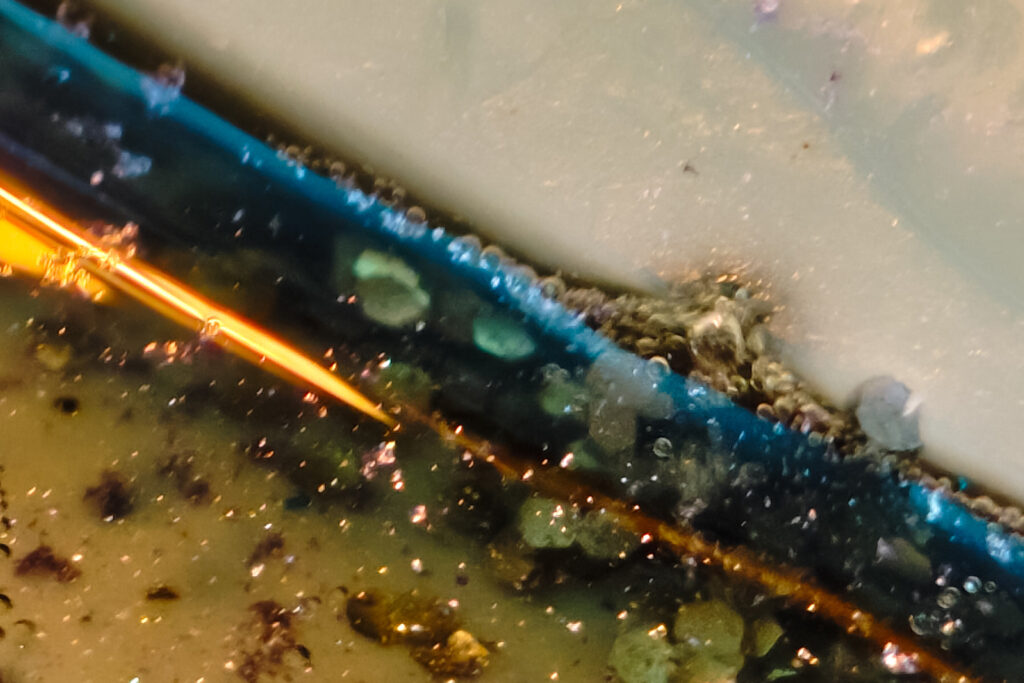 wax melt melting in wax burner dish close up showing liquid wax