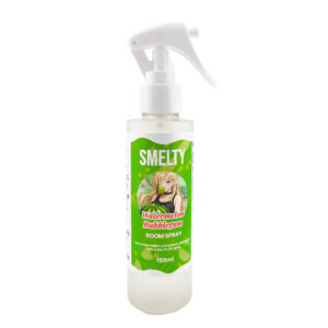 Watermelon Bubblegum Room Spray